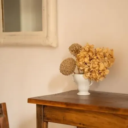 Apartment Hyper Centre Superbe Troyes